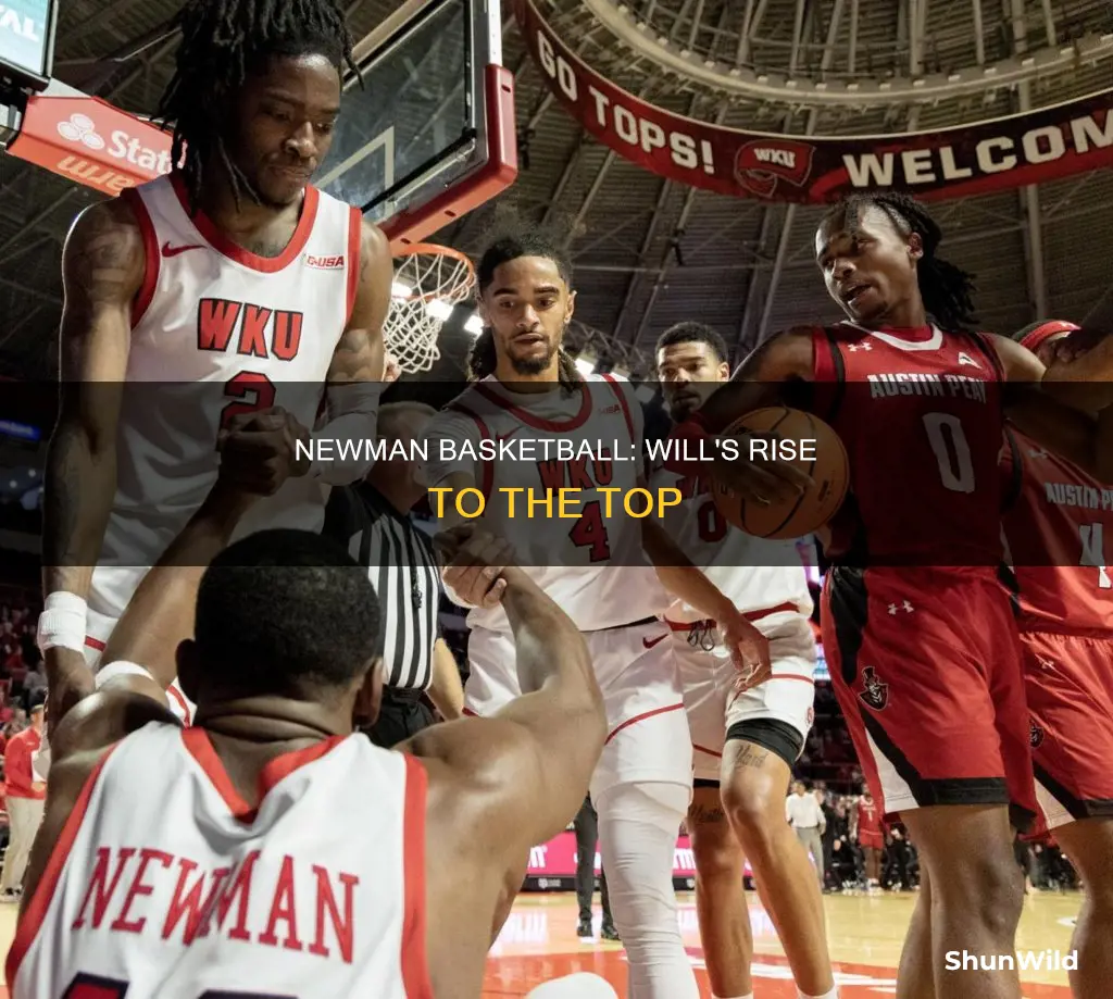 will newman basketball