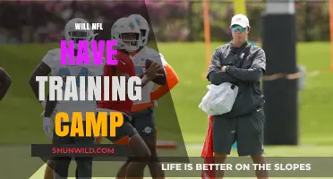 NFL Training Camp: Will It Happen This Year?