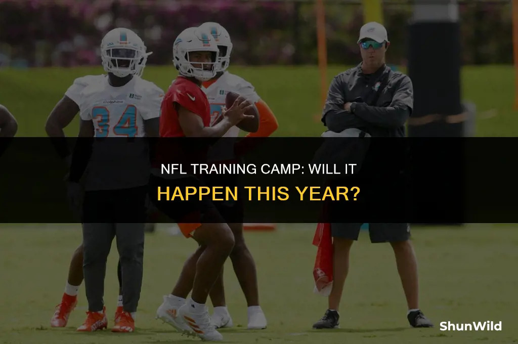 will nfl have training camp