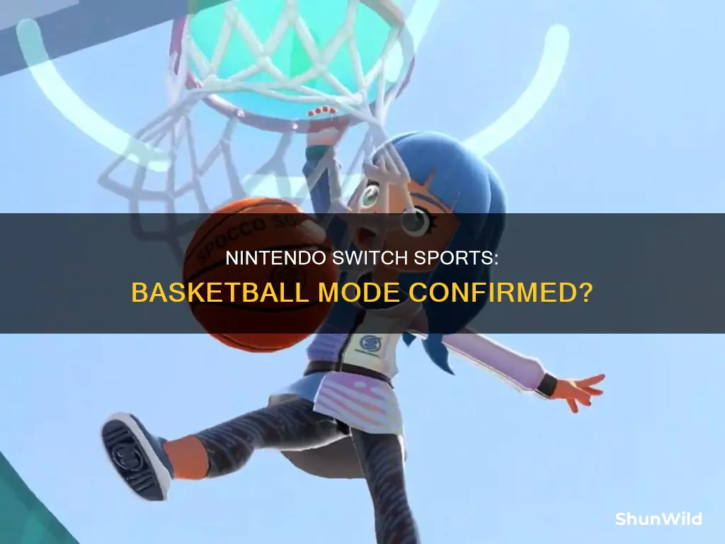 will nintendo switch sports have basketball
