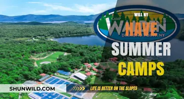 Summer Camps in NY: What to Expect This Year