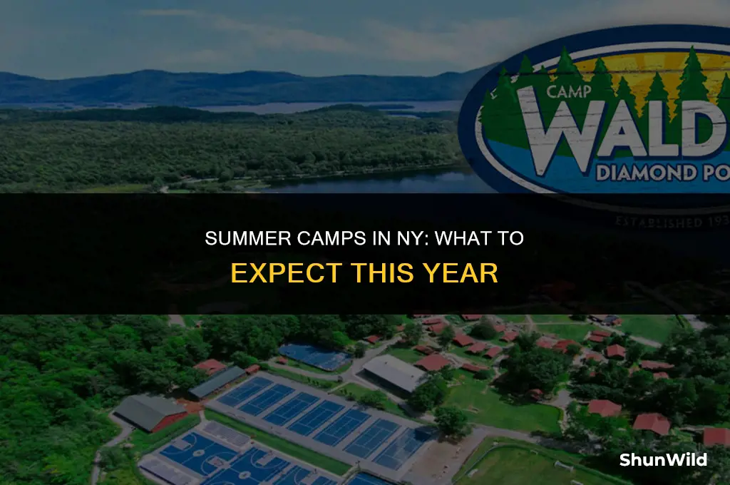 will ny have summer camps