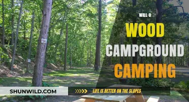 Nature's Embrace: Camping Adventures at Will-O-Wood Campground