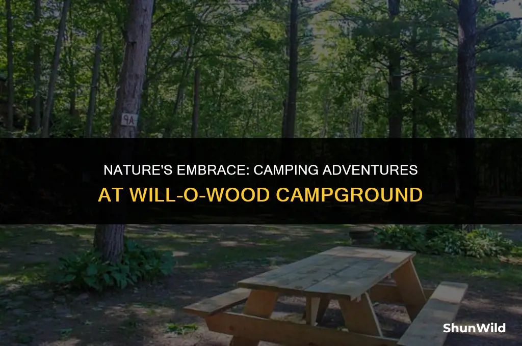 will o wood campground camping