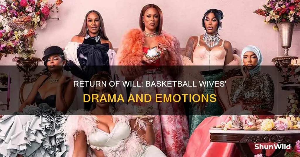 will of return to basketball wives