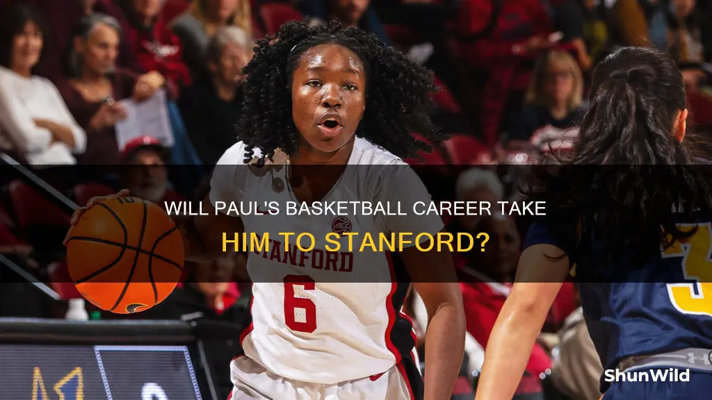 will paul basketball stanford