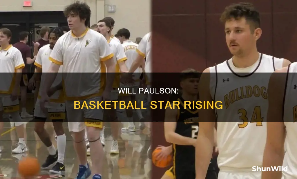 will paulson basketball