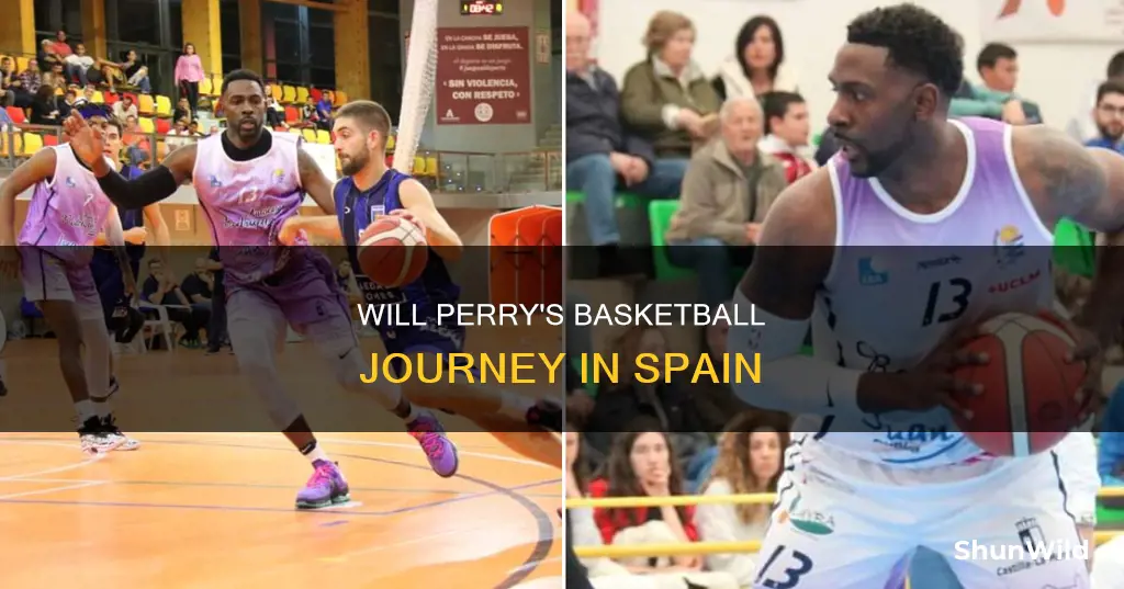 will perry basketball spain