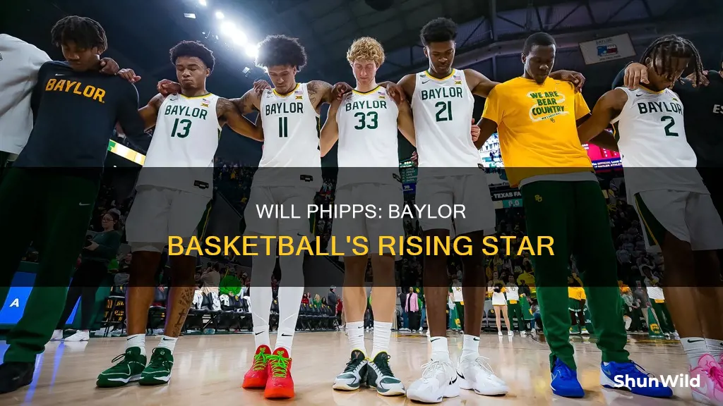 will phipps baylor basketball