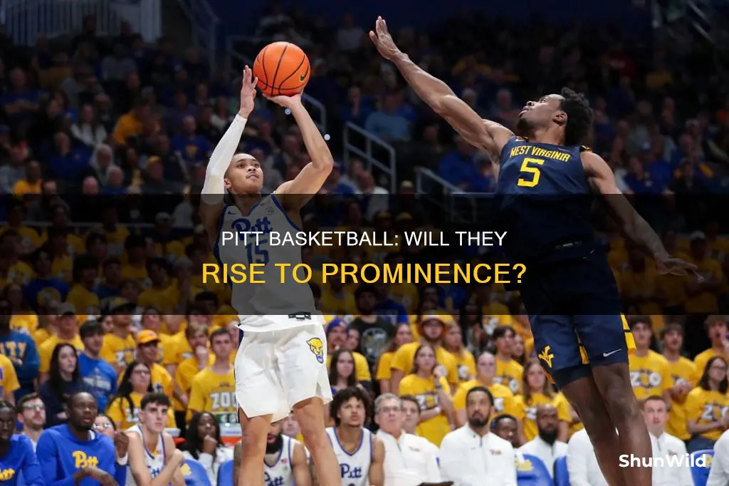 will pitt basketball be ranked