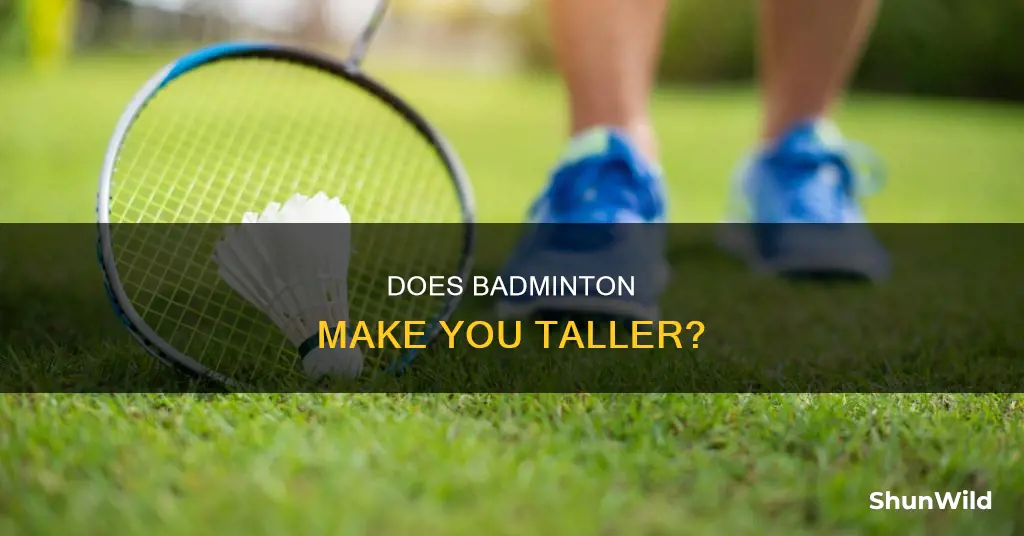 will playing badminton increase height