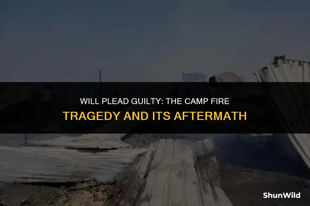 will plead camp fire