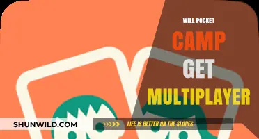 Pocket Camp Multiplayer: Will It Happen? What We Know So Far