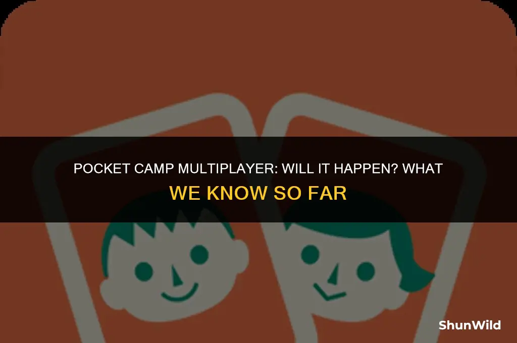 will pocket camp get multiplayer