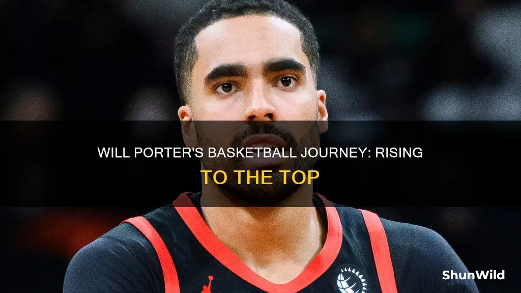 will porter basketball