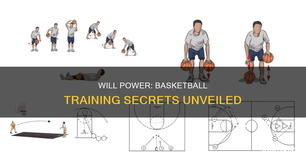 will power basketball training