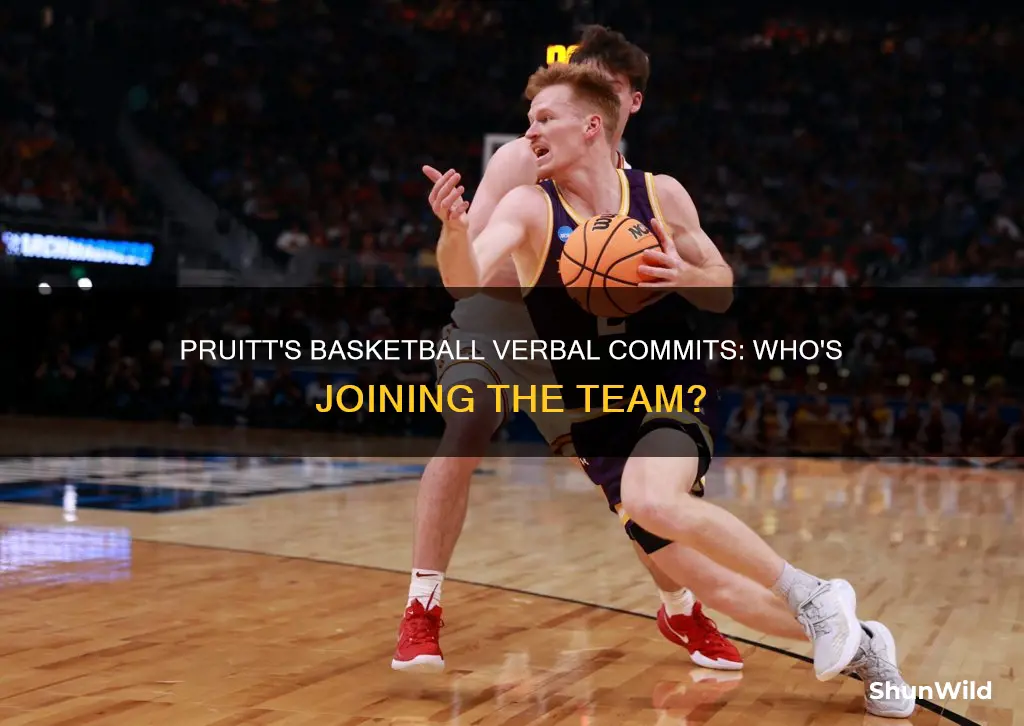 will pruitt basketball verbal commits