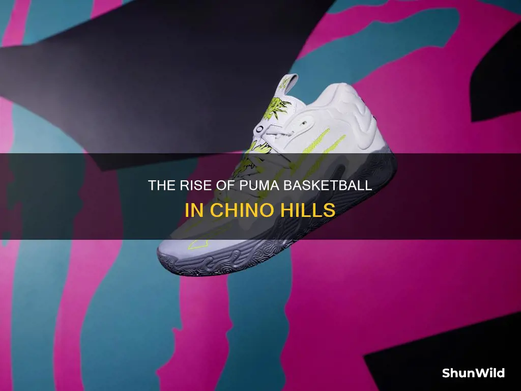 will puma basketball chino hills