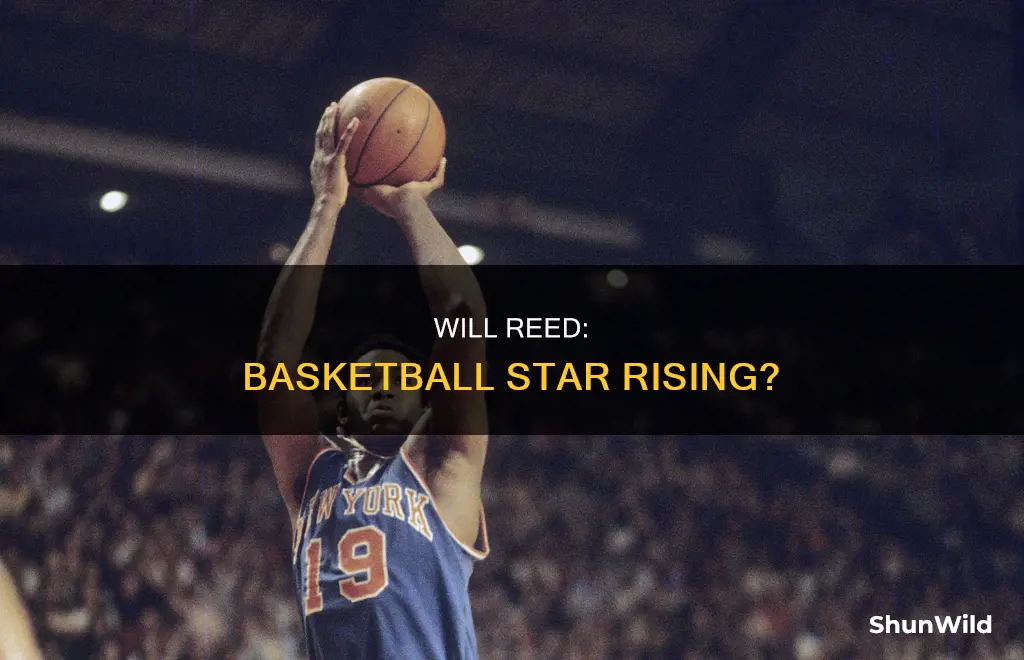 will reed basketball