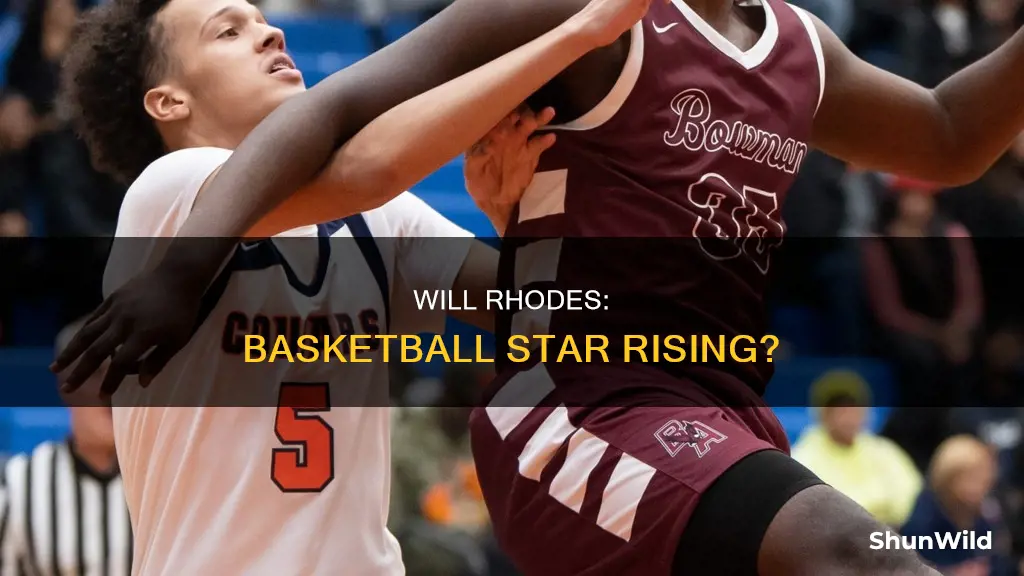 will rhodes basketball