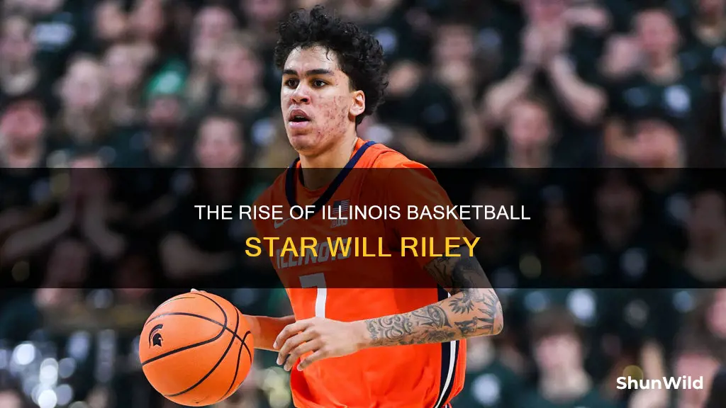 will riley basketball illinois