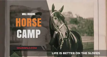 Saddle Up for Adventure: Will Rogers Horse Camp Experience