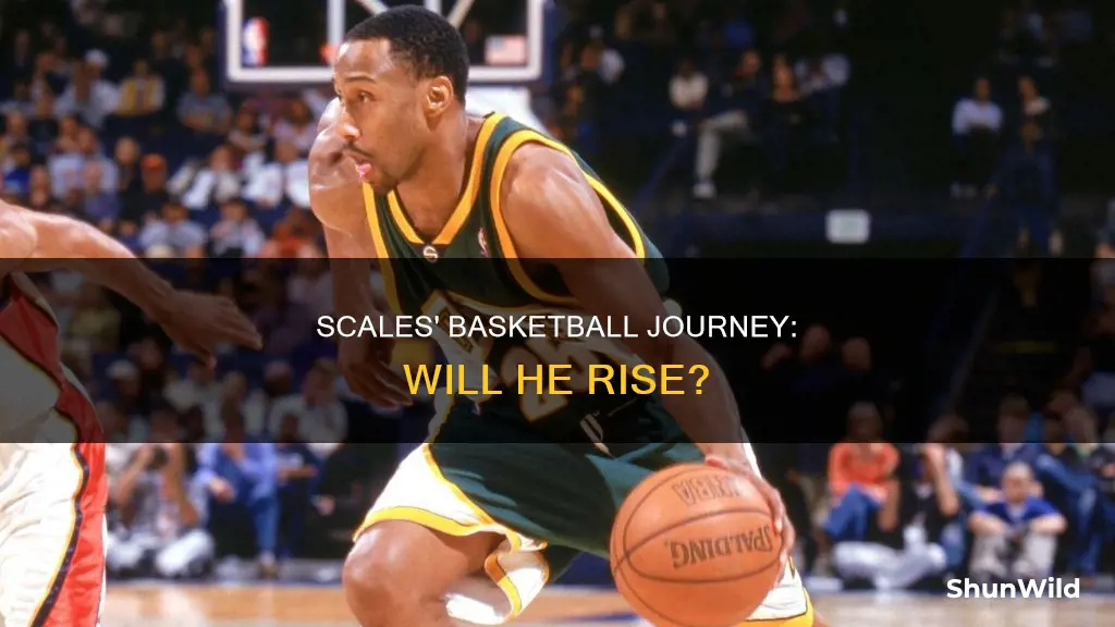 will scales basketball