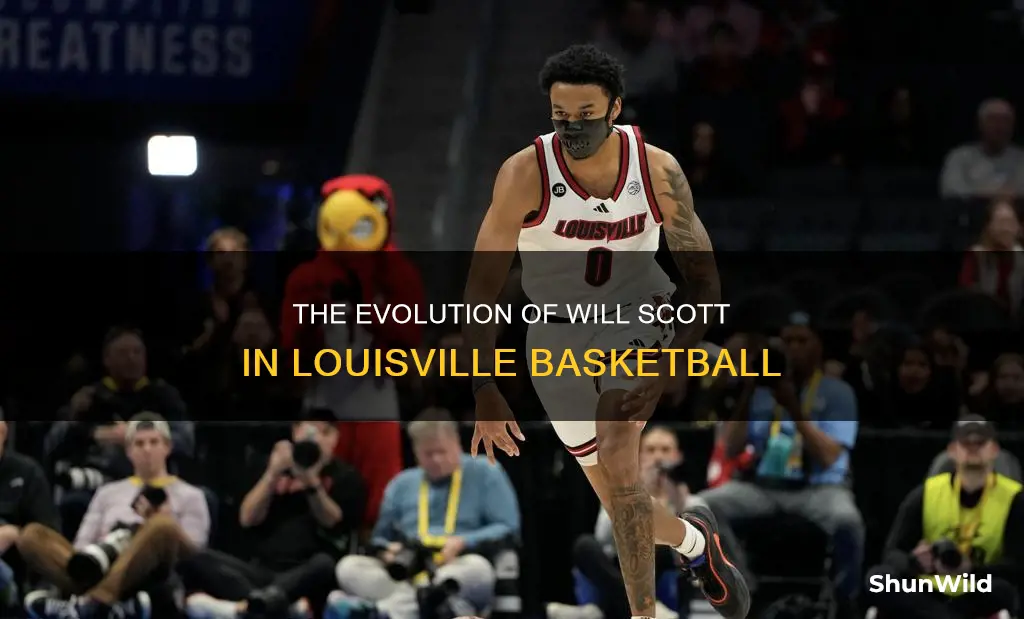 will scott louisville basketball