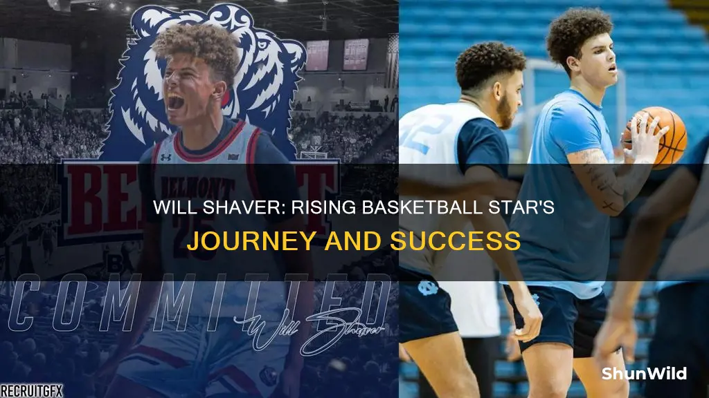 will shaver basketball