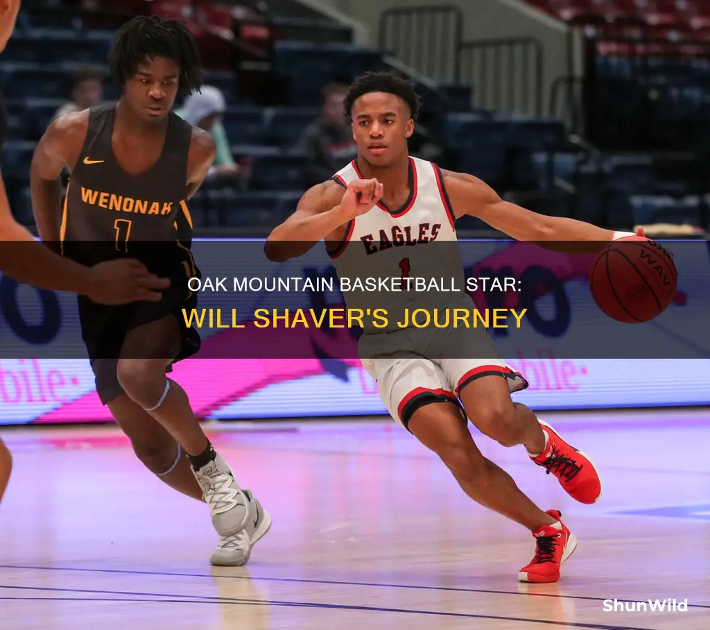 will shaver oak mountain basketball