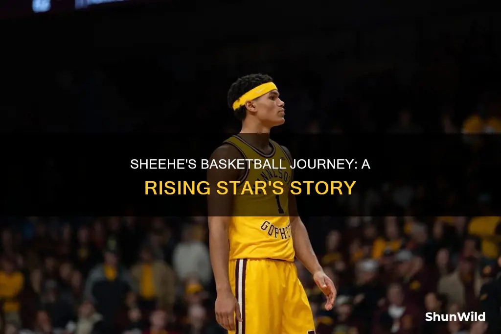 will sheehe basketball