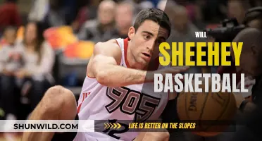 Sheehey's Basketball Journey: From College to Overseas