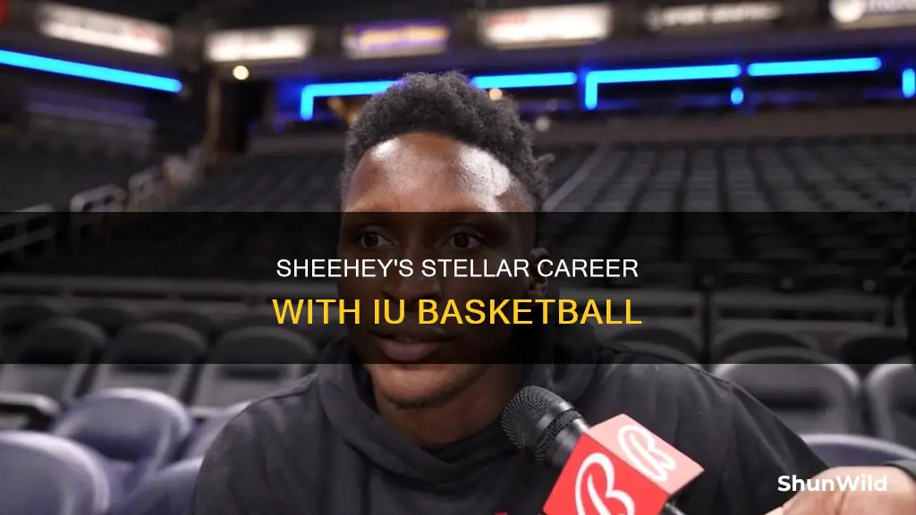 will sheehey iu basketball