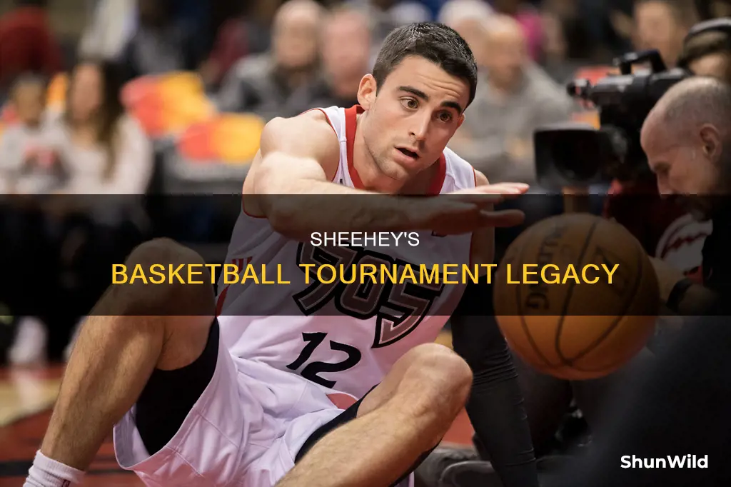 will sheehey the basketball tournament