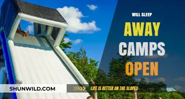 Will Sleepaway Camps Open This Summer? Latest Updates and Predictions