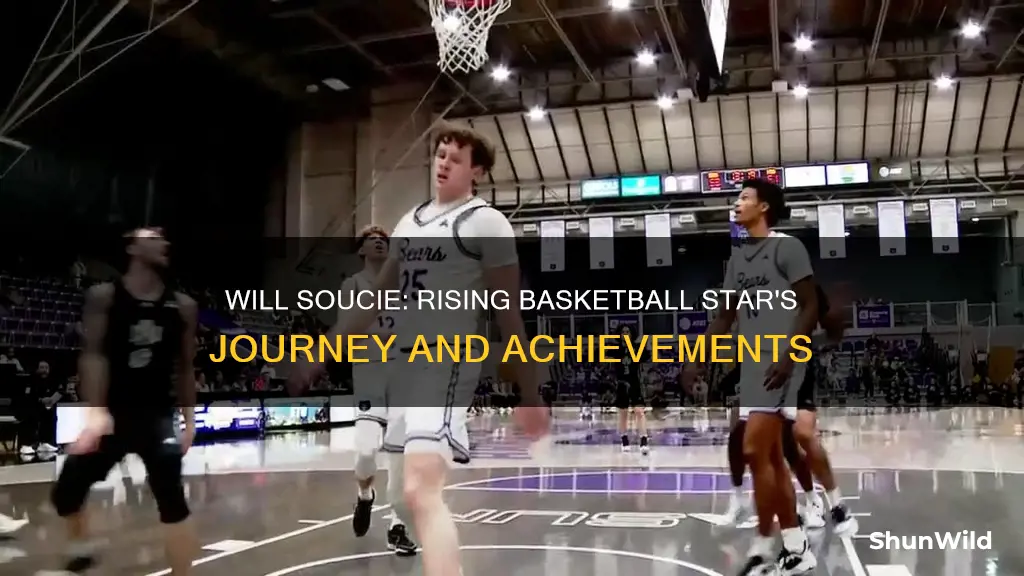 will soucie basketball