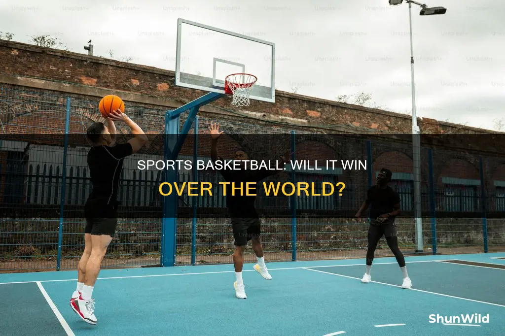 will sports basketball