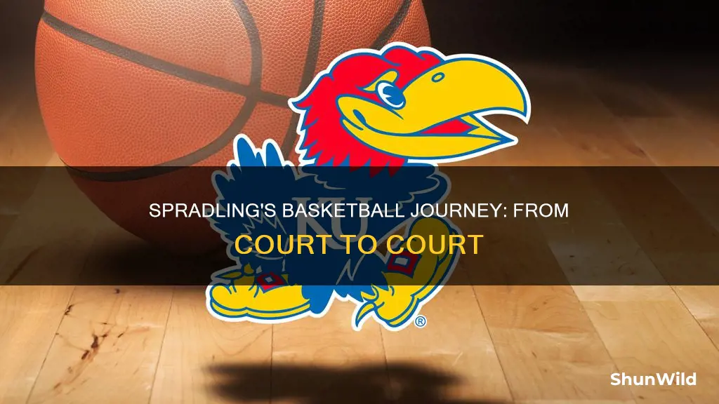will spradling basketball
