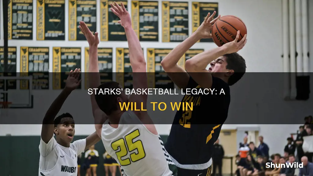 will starks basketball