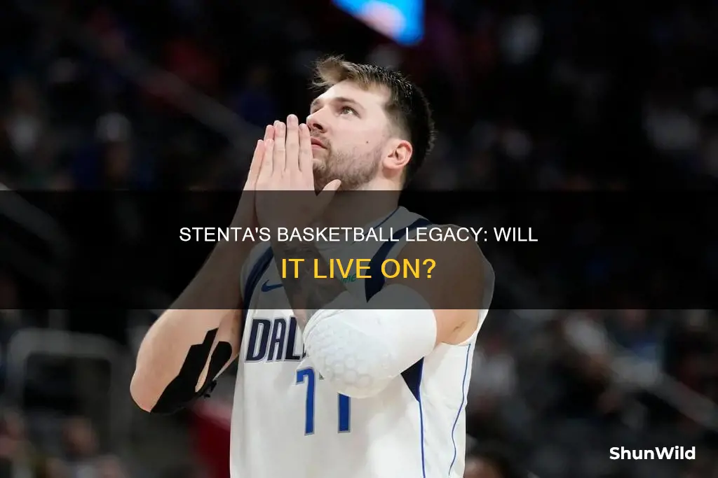 will stenta basketball