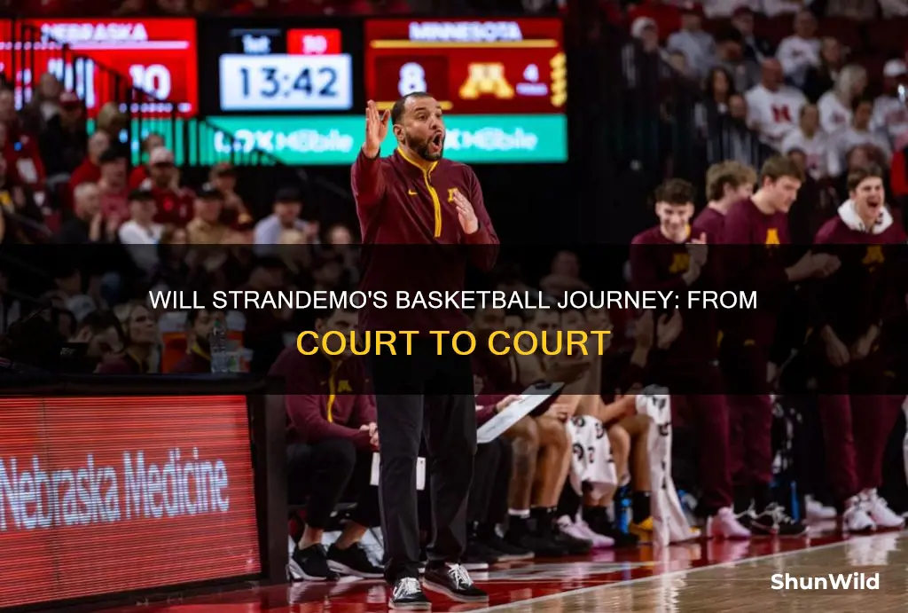 will strandemo basketball