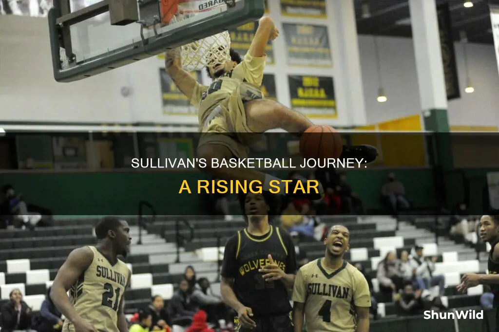 will sullivan basketball