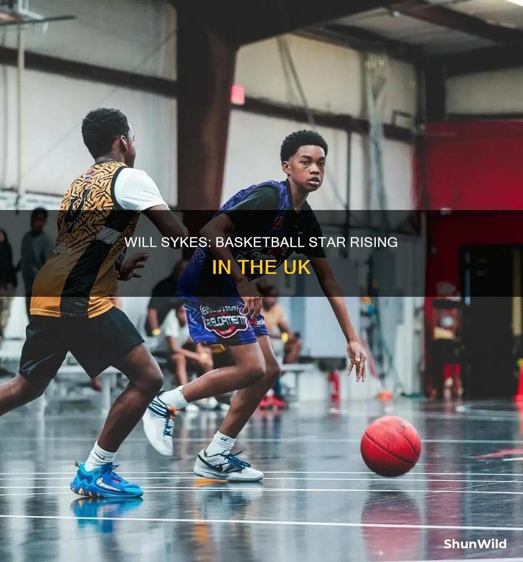 will sykes basketball