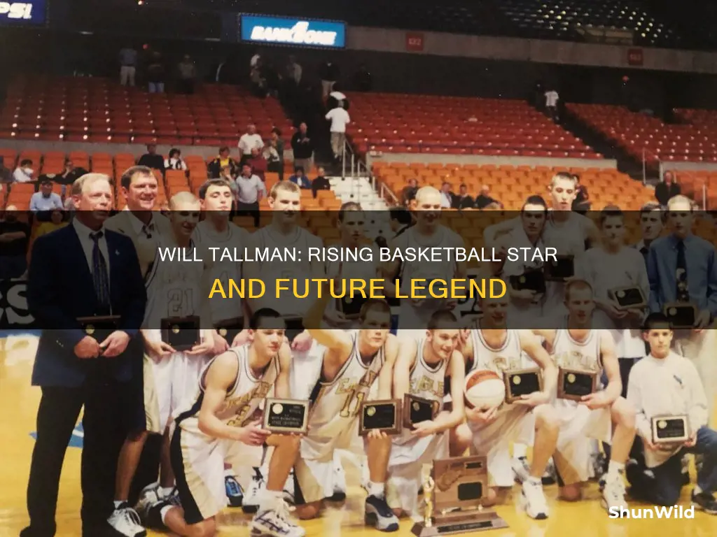 will tallman basketball