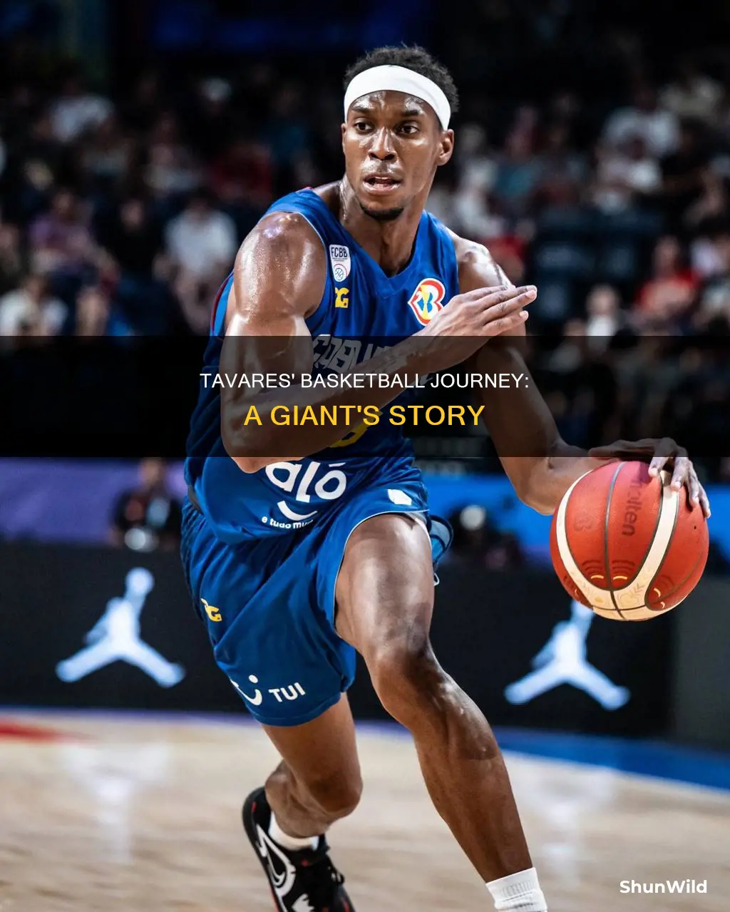 will tavares basketball