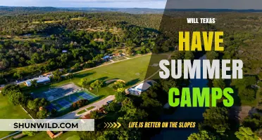 Summer Camps in Texas: What to Expect in the Lone Star State