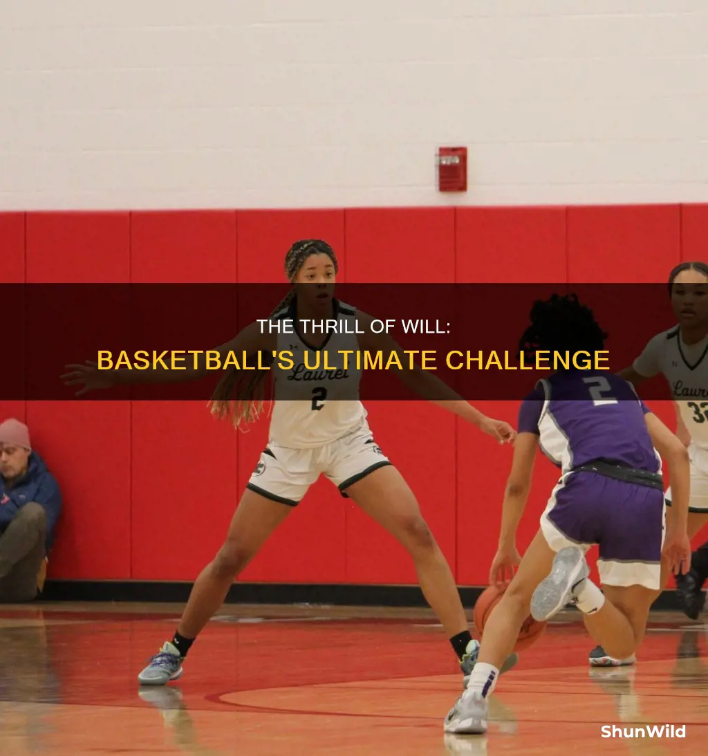 will the thrill basketball