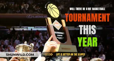 Will NIT Basketball Tournament Return This Year?