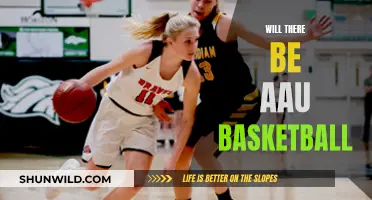 The Future of Basketball: AAU and Beyond