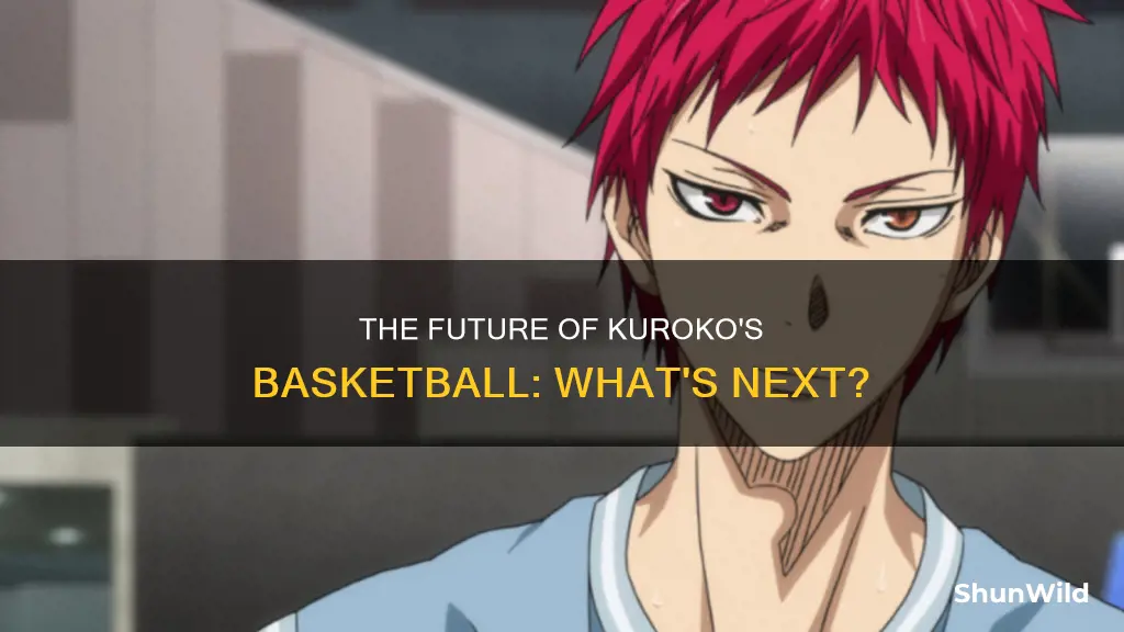 will there be anymore kuroko